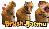Brush Jjaemu background