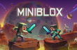 MiniBlox img