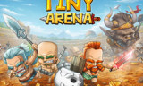 Tiny Arena background