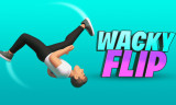 Wacky Flip background